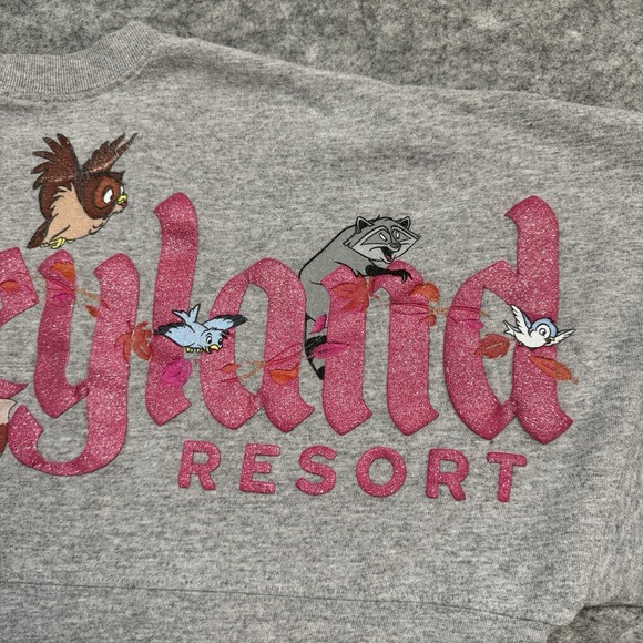 Disneyland Spirit Jersey Small Gray Woodland Creatures Oversized Shirt Adult - Picture 9 of 12
